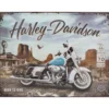 Harley-Davidson - Born to Ride - Plåtskylt - 40x30 cm